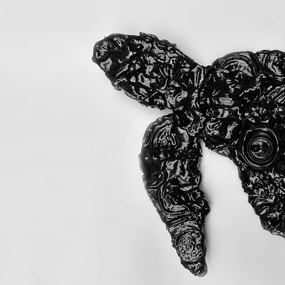 Errol Sari: Extinction